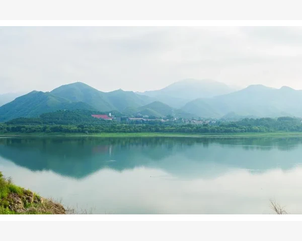 B2B会员管理制度落地的关键步骤